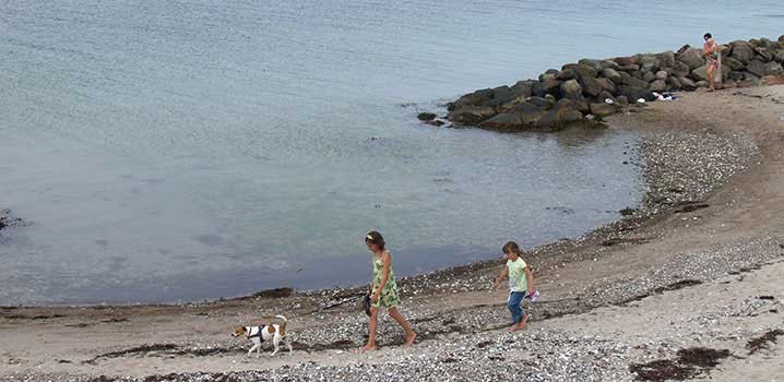 Kinder gehen mit Hund am Strand spazieren