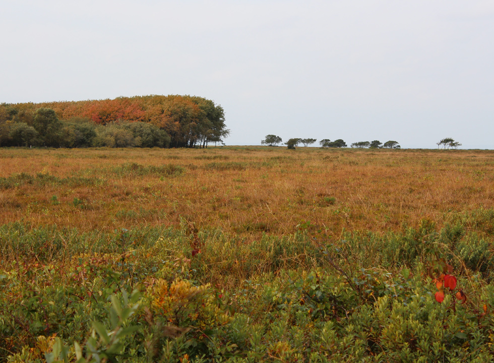 Laesoe Vesteroe Syd 24