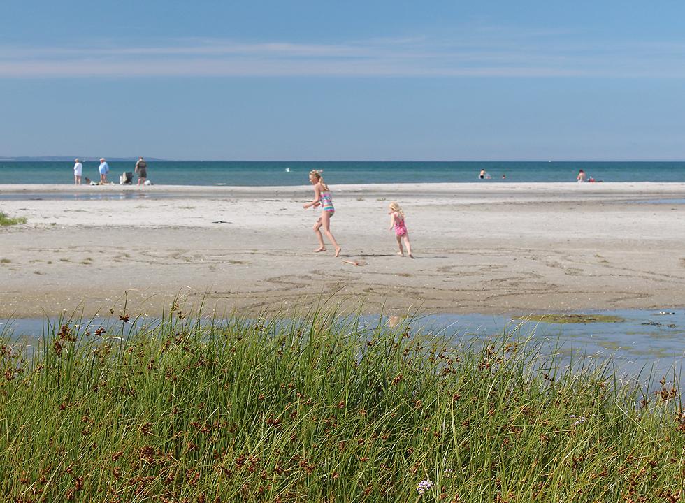 Laesoe Vesteroe Syd 1