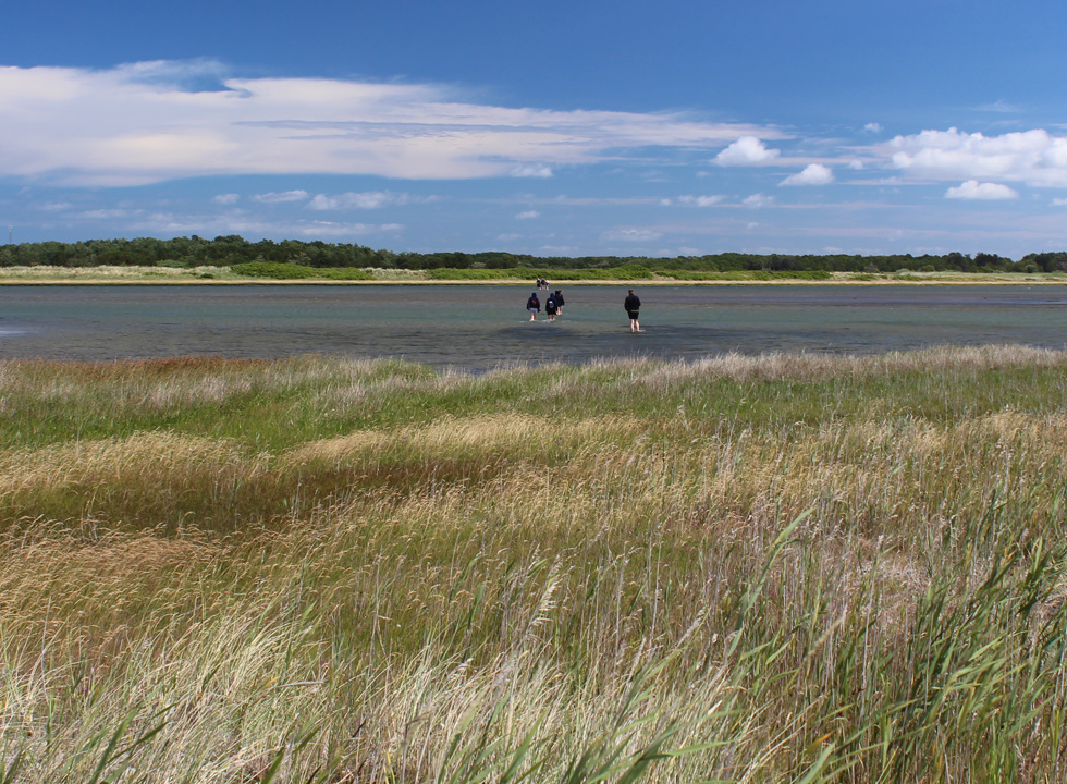 Laesoe Vesteroe Syd 20