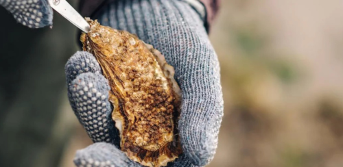 Geschichten am Rand des Wassers