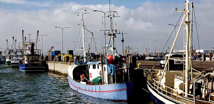 Man kann frischgefangen Fisch an den dänischen Häfen und an einigen Stränden kaufen.