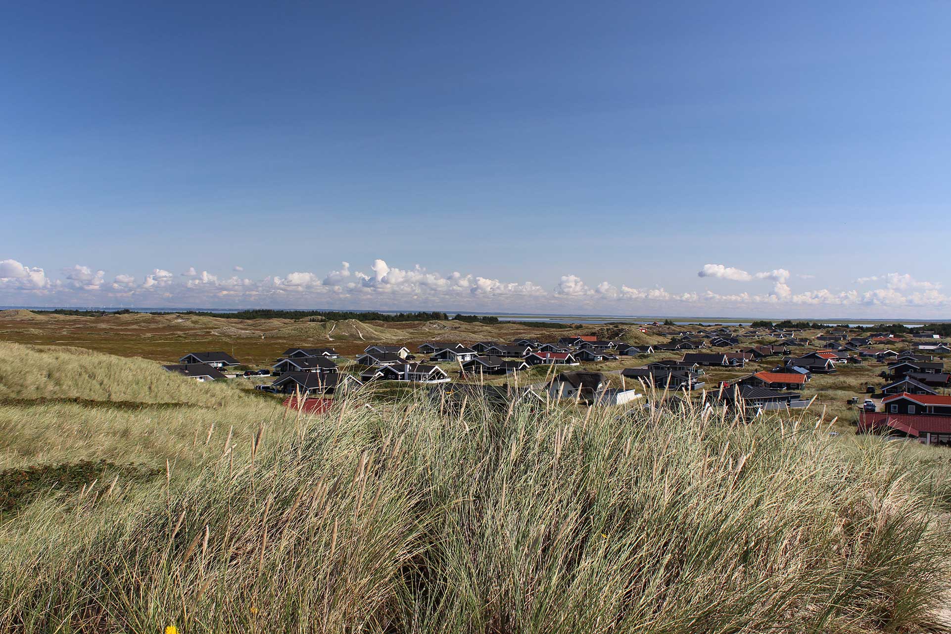 Bjerregaard Topimage 38