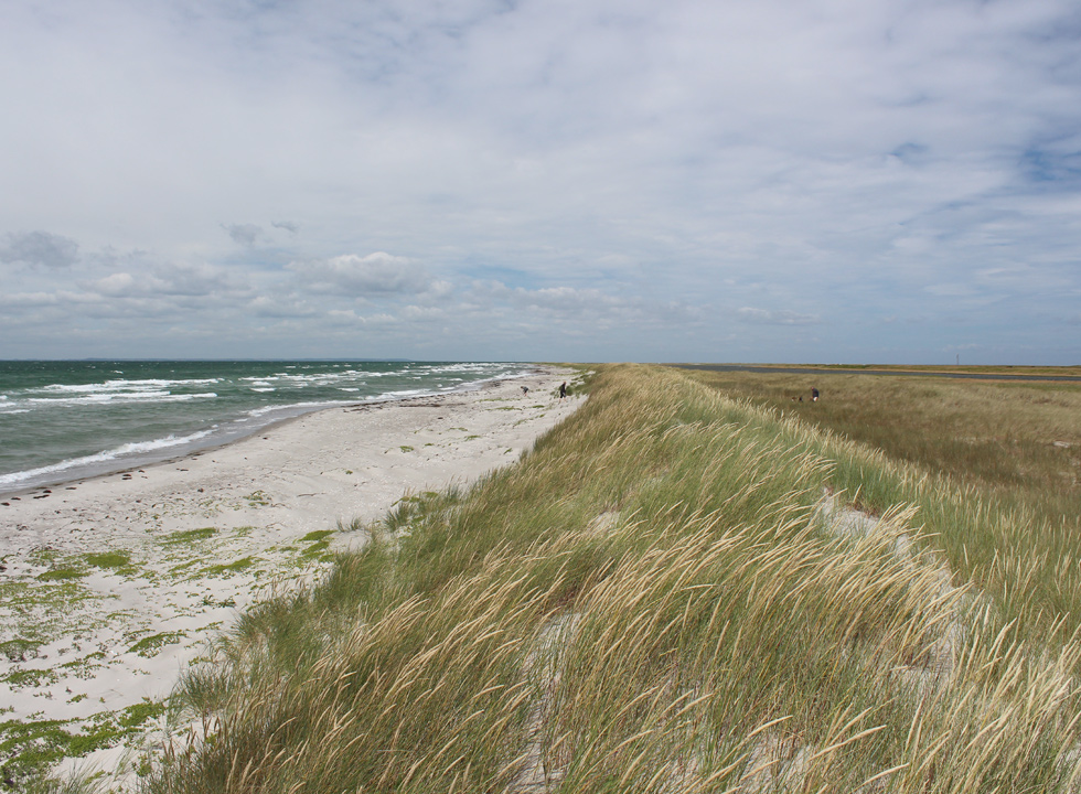 Laesoe Vesteroe Syd 19