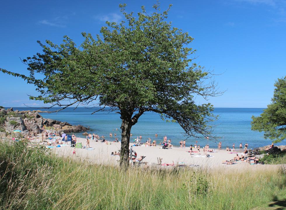 bornholm-strand