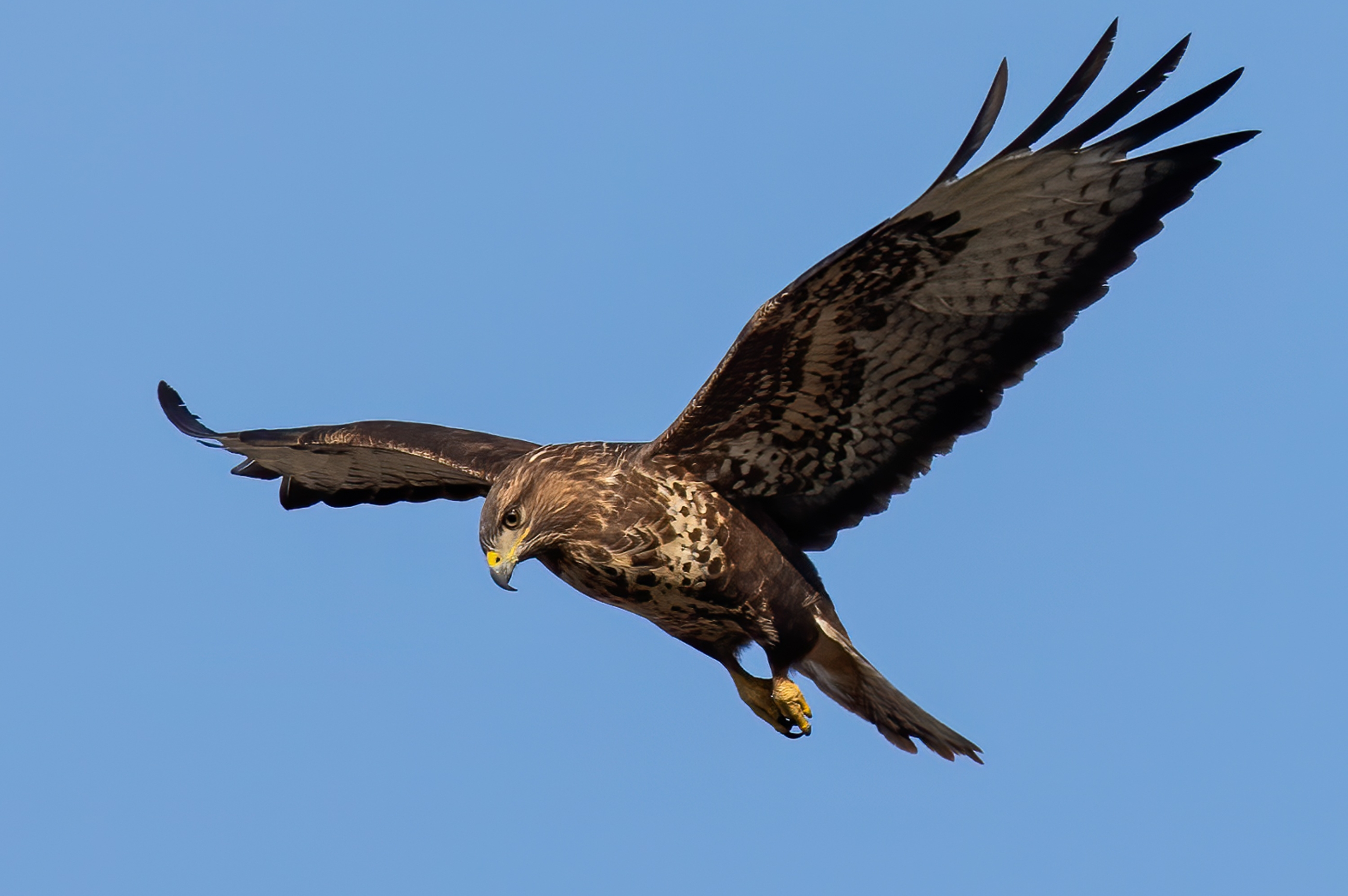 Ein kleines Paradies für Zugvögel