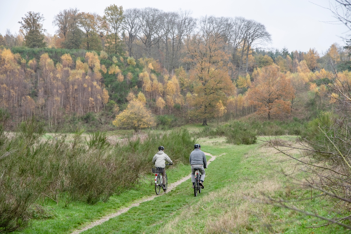141122 Herregaardsruten Koloritmedia 00542