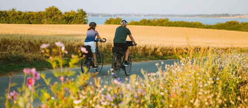 panorama-par-på-cykel-sydoestjylland