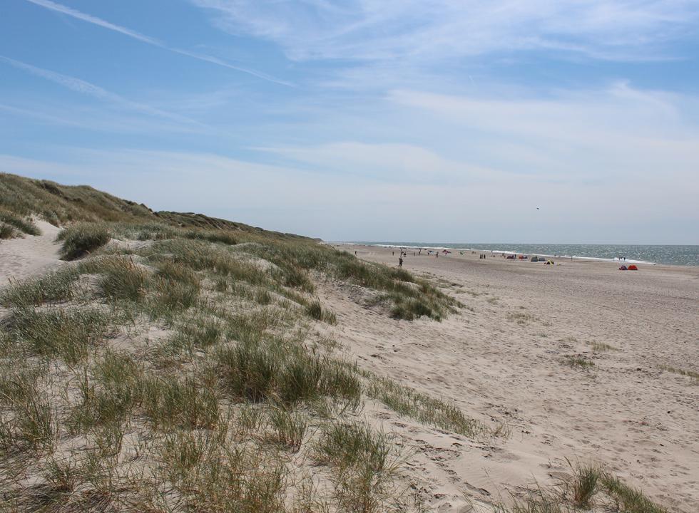 Bjerregaard 3