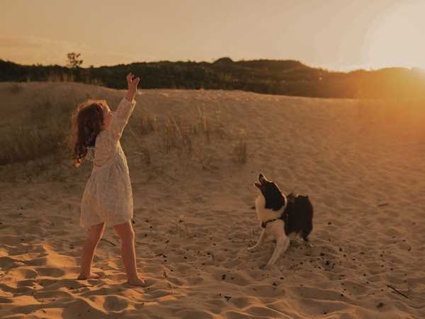 Urlaub mit dem Hund im Ferienhaus am Meer