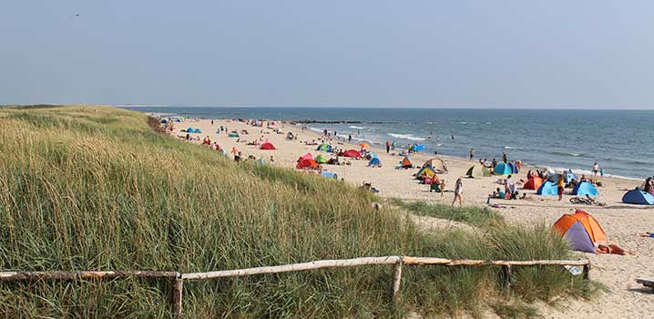 Blåvand aktivitäten