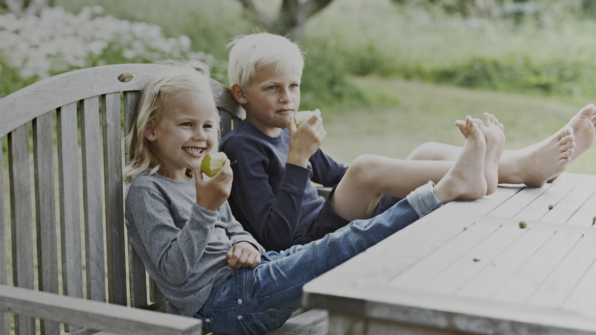  Dänemark urlaub mit kindern