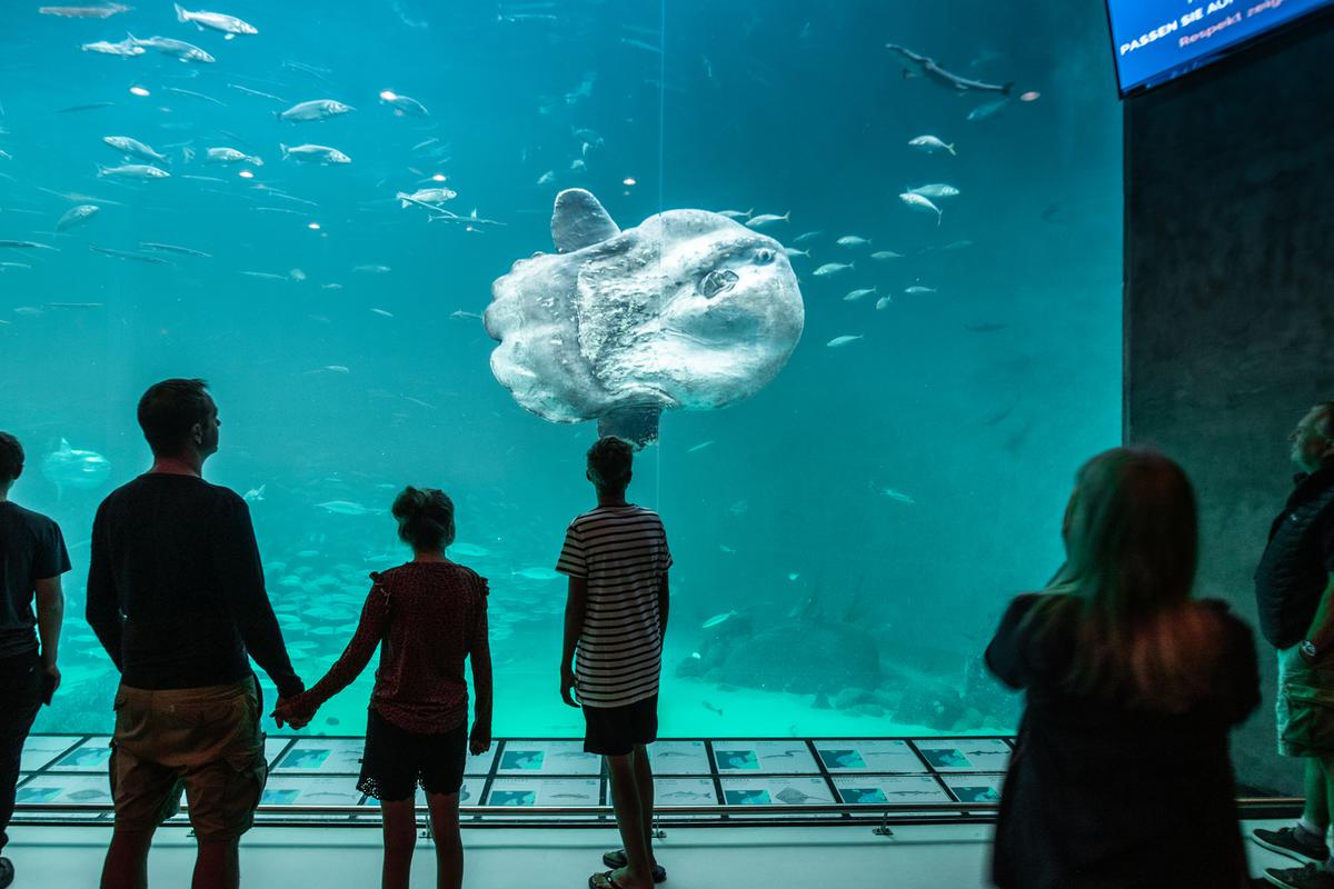 Nordvestkysten Sommer 2020©Flyingoctober 1839 1200Px