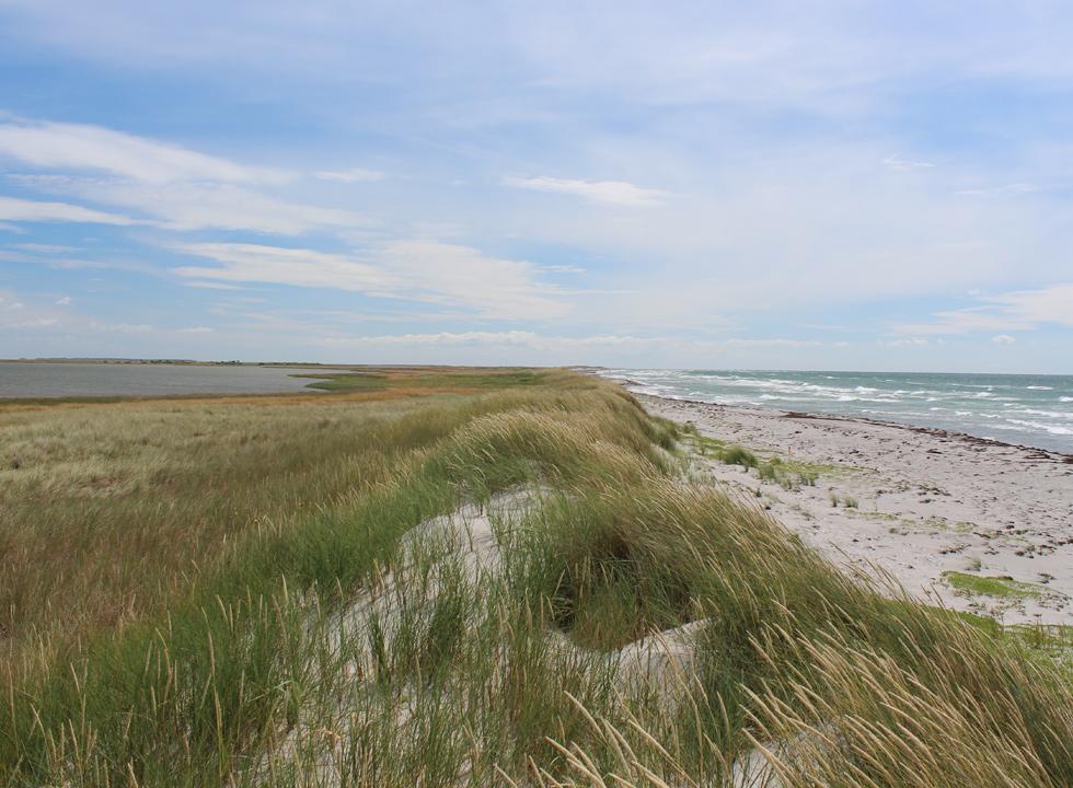 Nordoestjylland 34