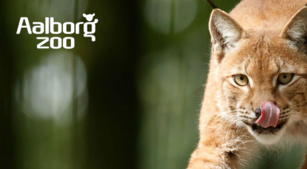 Aalborg Zoo 1242X685 (1)