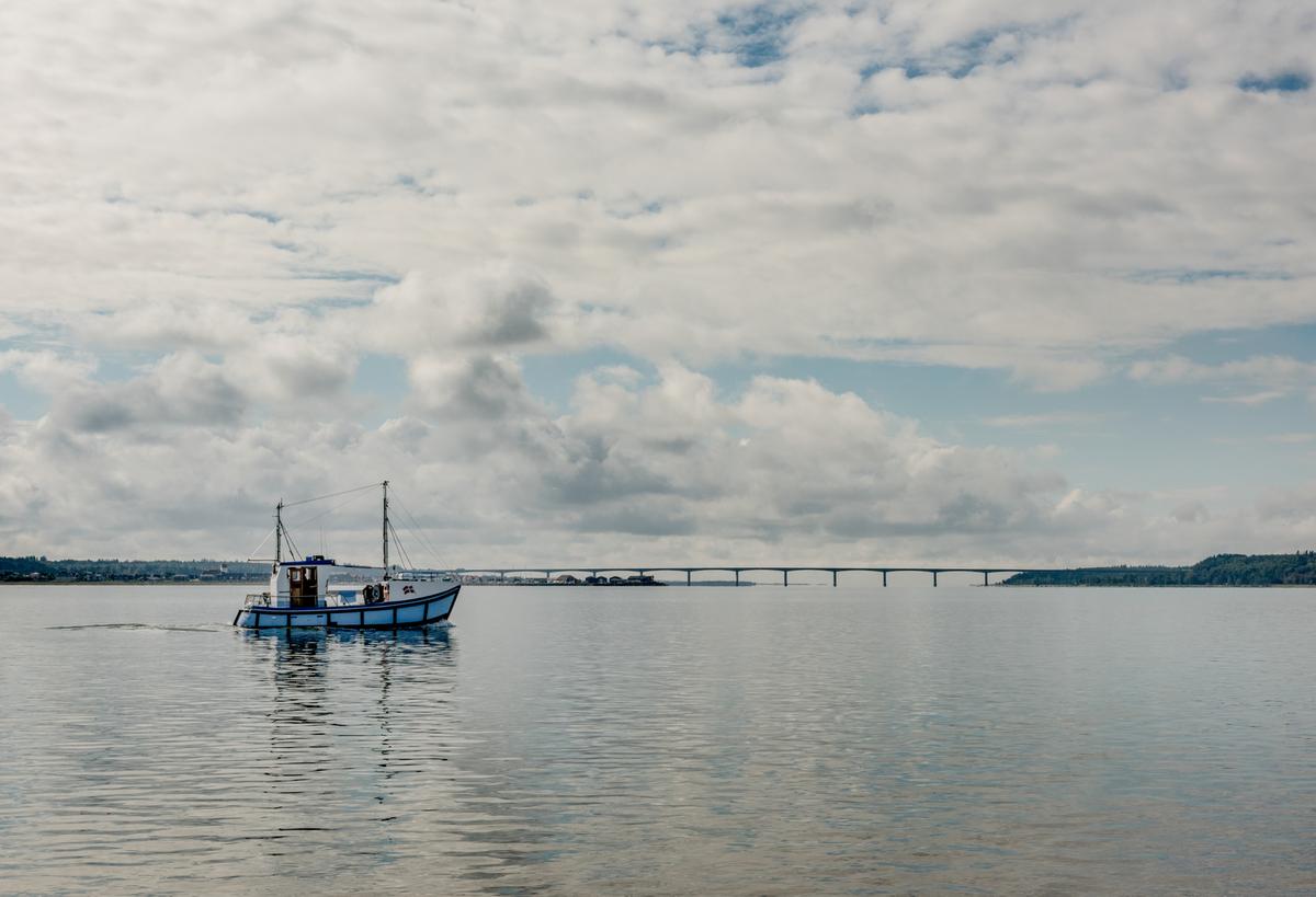 Limfjord Mette Johnsen (4) 1200Px