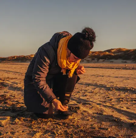 Amber Henne Beach Denmark 1 ©Thomas Høyrup Christensen Large