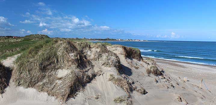 Klitmoeller strand og klitter