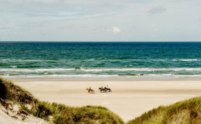 Blokhus strand