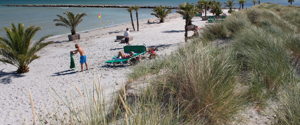 Palmenstrand Dänemark - Palmestranden in Frederikshavn