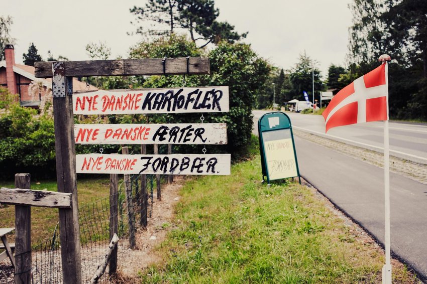 streetside-foodstall-vejboder-denmark_©Freya McOmish, Scandinavia Standard-medium.jpg